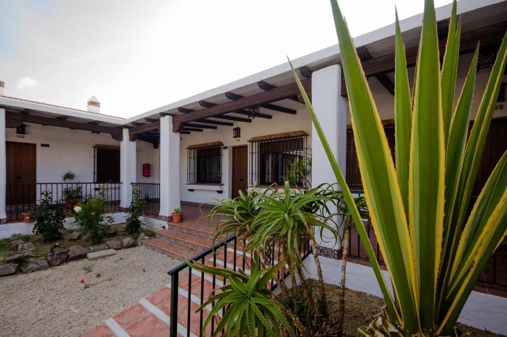 Hacienda Puerto Conil Apartment Conil De La Frontera Exterior photo